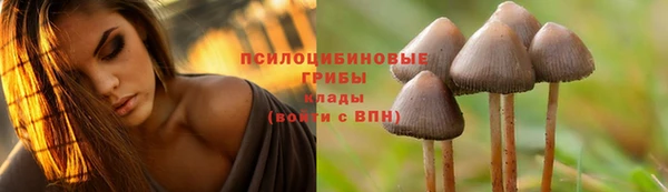 соль ск Алексеевка