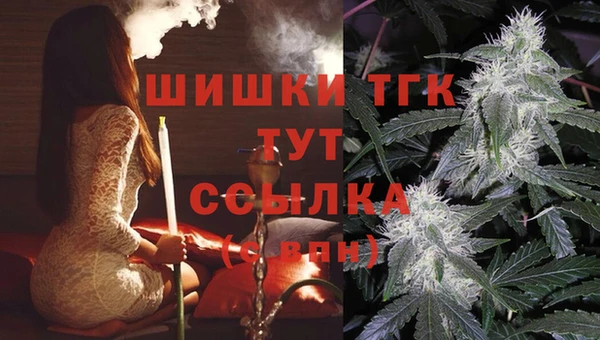соль ск Алексеевка