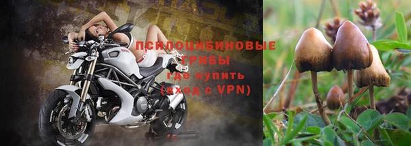 тгк Алзамай
