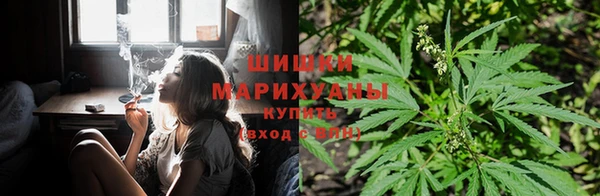 ECSTASY Снежногорск