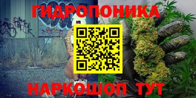 дживик Гусев
