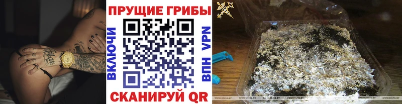 Псилоцибиновые грибы мухоморы  где купить наркоту  Лабытнанги 