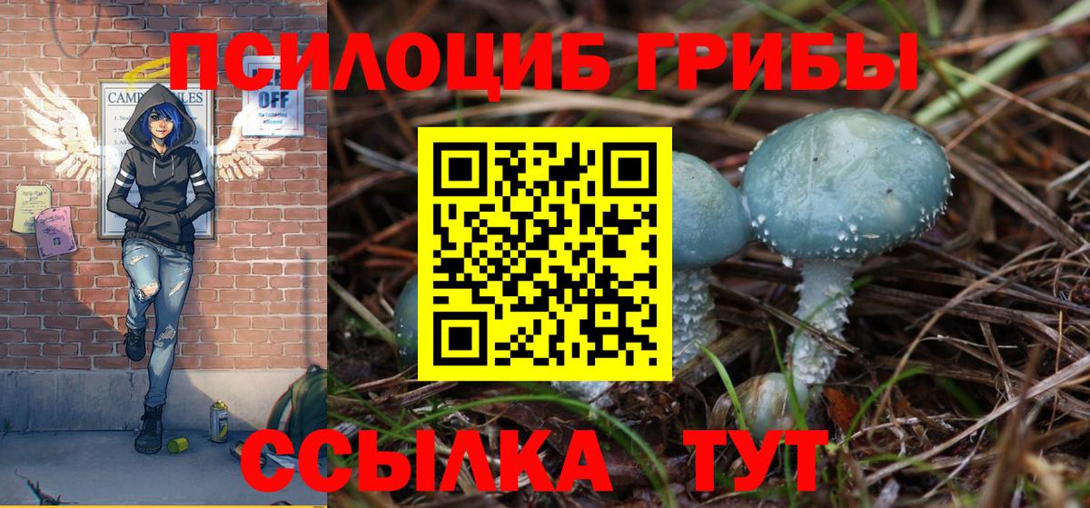 Лабытнанги  Псилоцибиновые грибы Psilocybe  Вход с VPN 